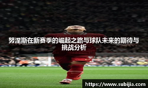 努涅斯在新赛季的崛起之路与球队未来的期待与挑战分析